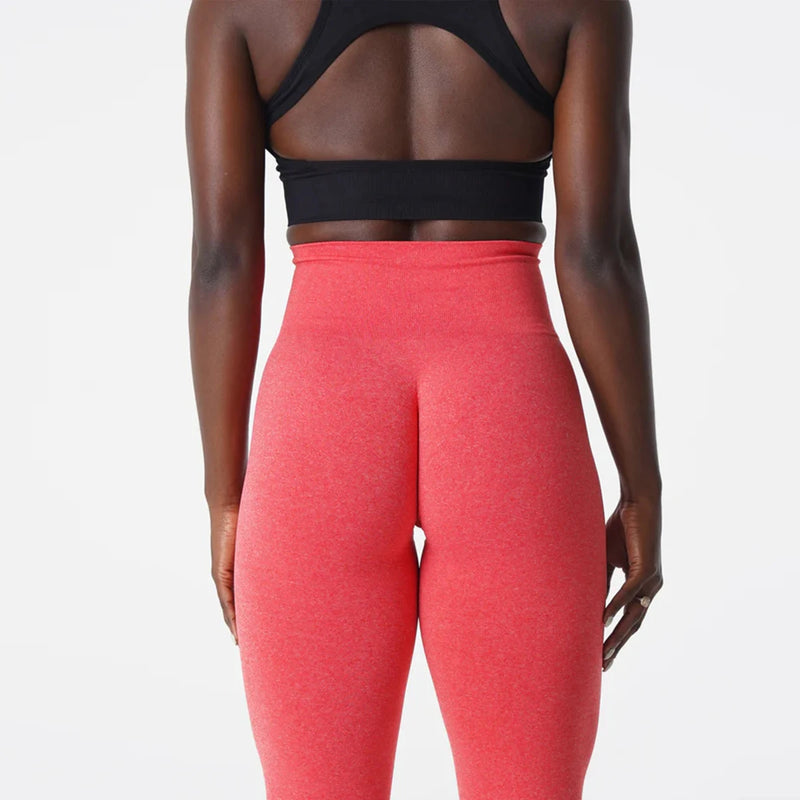 Leggings TKITK Pro Seamless